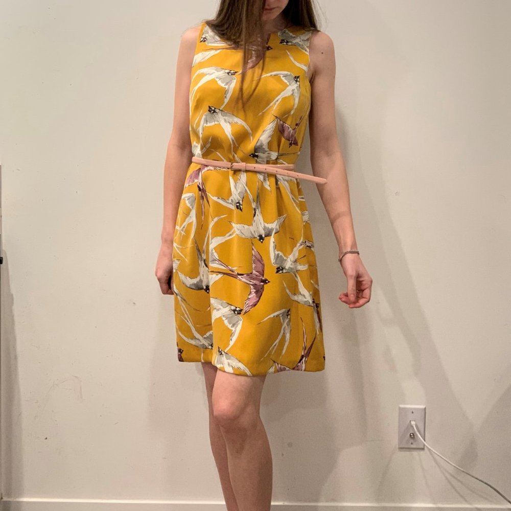 Ann Taylor Mojave Shift Dress Size 6 - Picture 6 of 7